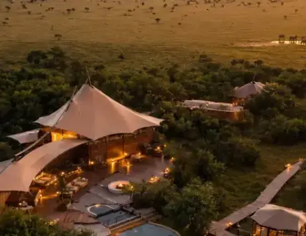 Finding Magic in the Mara: My Journey with Victoria Crowns