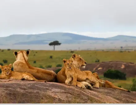 Where Every Sunrise Tells a Story: My Victoria Crowns Maasai Mara Escape