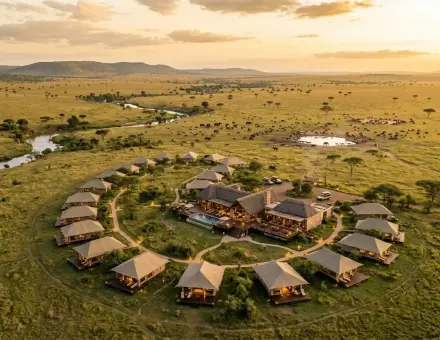Finding Magic in the Mara: My Journey with Victoria Crowns