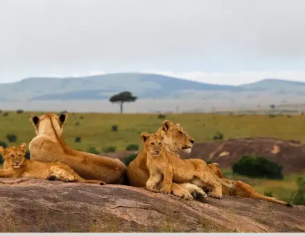 My Maasai Mara Vacation with Victoria Crowns